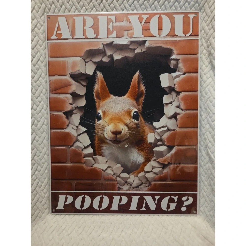 Funny Metal Tin Signs  Are you Pooping Vintage‎ Wall Art Decoration 12 x 16